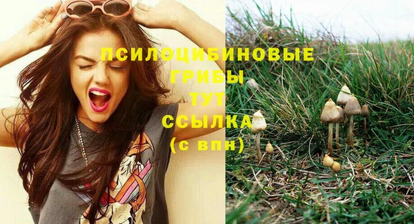 2c-b Магас