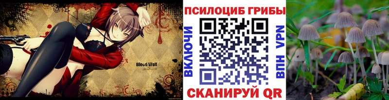 Псилоцибиновые грибы Cubensis  Купить где  Нурлат 